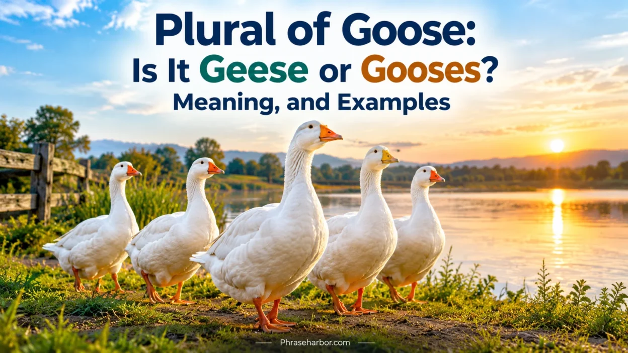 Plural of Goose